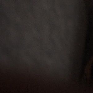 Meet your Posher, Sandro